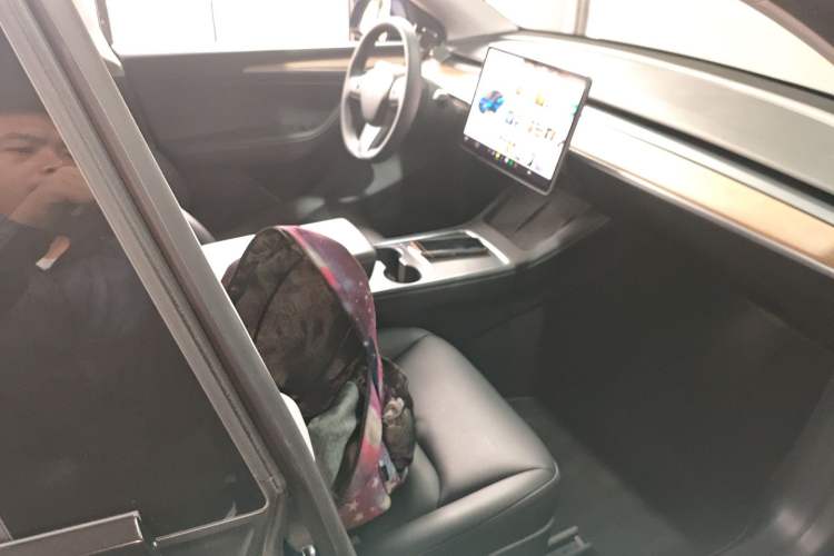 Used Tesla Model Y 2021 Long-Range All-Wheel-Drive Version 3D7