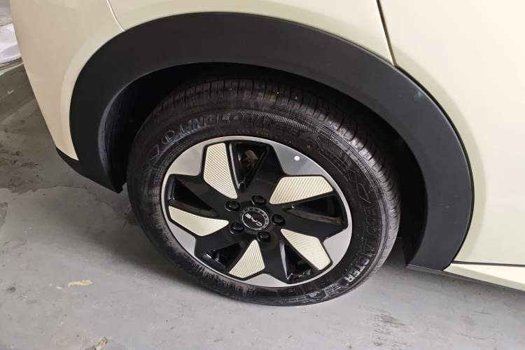 Used BYD Dolphin 2024 Honor Edition 420km Fashion Version Right Rear Wheel Hub