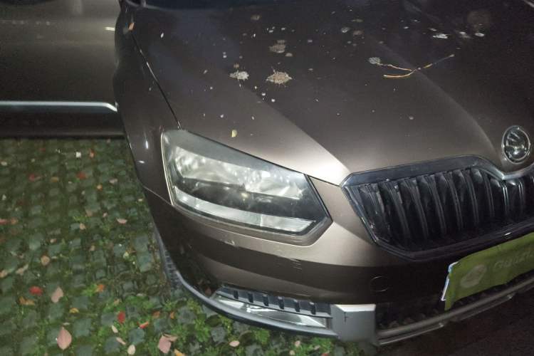 Used Skoda Yeti 2014 1.4 TSI DSG Polar Edition
