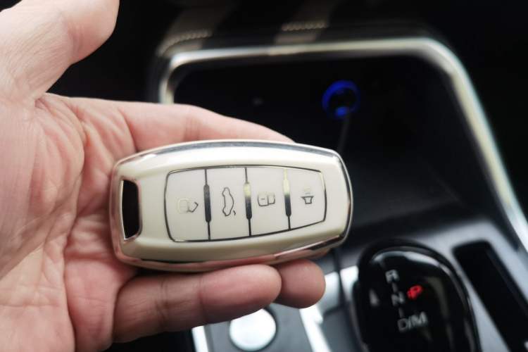 Used Haval H6 2023 National Trend Edition 1.5T Automatic Champion Version