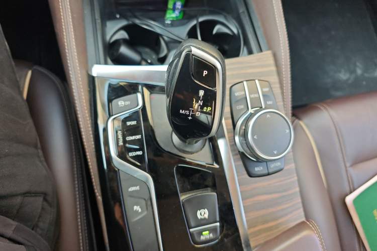 Used BMW 5 Series New Energy 2019 530Le Luxury Package
