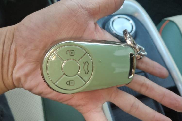 Used ORA Good Cat 2022 Morandi Edition 400km Standard Range Premium Version Lithium Iron Phosphate Vehicle Key