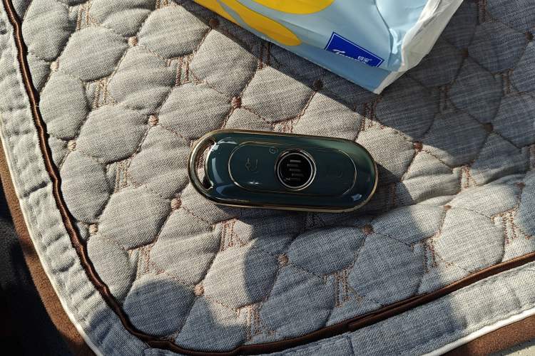 Used WM Motor EX5 2020 EX5-Z Nex Exploration Edition