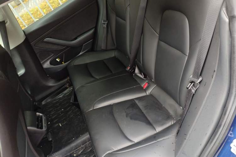 Used Tesla Model 3 2019 Standard Range Rear-Drive Upgraded Version
