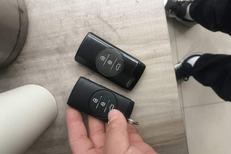 Used EXEED Lingyun 2024 300T Two-Wheel Drive Starlight Edition