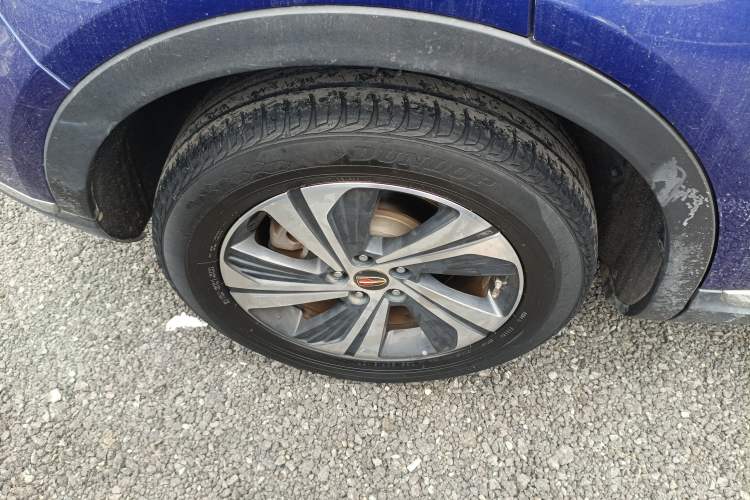 Used Hongqi HS5 2019 2.0T Smart Connect Flagship Edition
