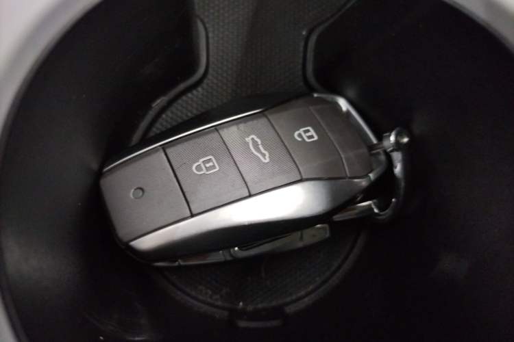 Used SOL E10X 2022 Flower Fairy Style Baby's Breath
