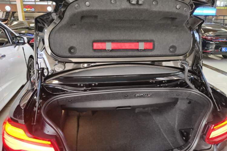 Used BMW 2 Series (Import) 2019 225i Convertible Coupe Luxury Edition M Sport Package