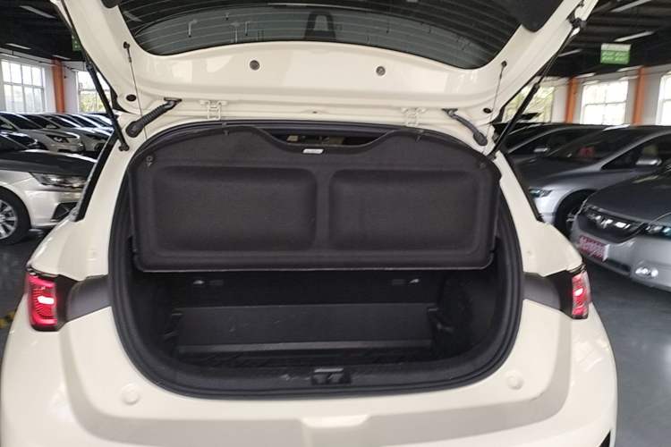 Used BYD Dolphin 2025 Smart Drive Version 420 km Freedom Edition
