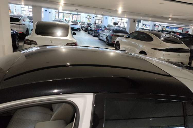 Used firefly firefly 2025 Illuminated Edition