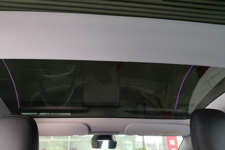 Used Tesla Model 3 2023 Rear-Wheel-Drive Version Headliner