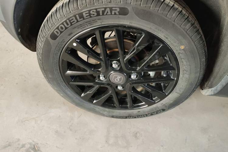 Used Chery Little Ant 2024 321km Love Edition
