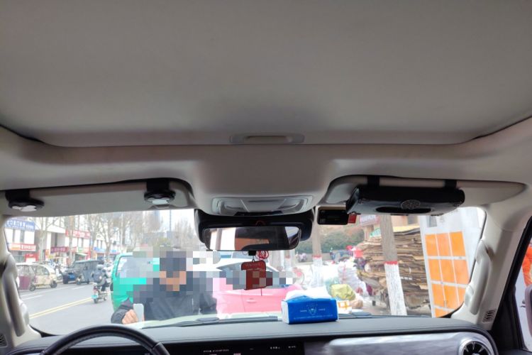 Used Tank 300 2021 2.0T Wind & Forest Iron Rider
