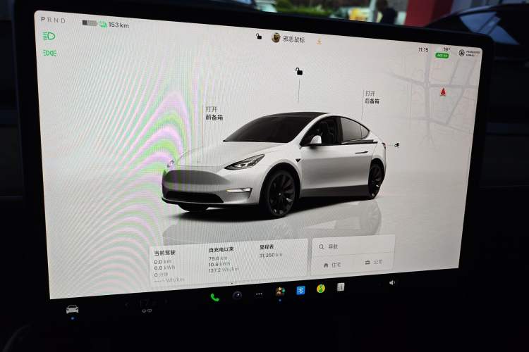 Used Tesla Model Y 2022 Rear-Wheel-Drive Version