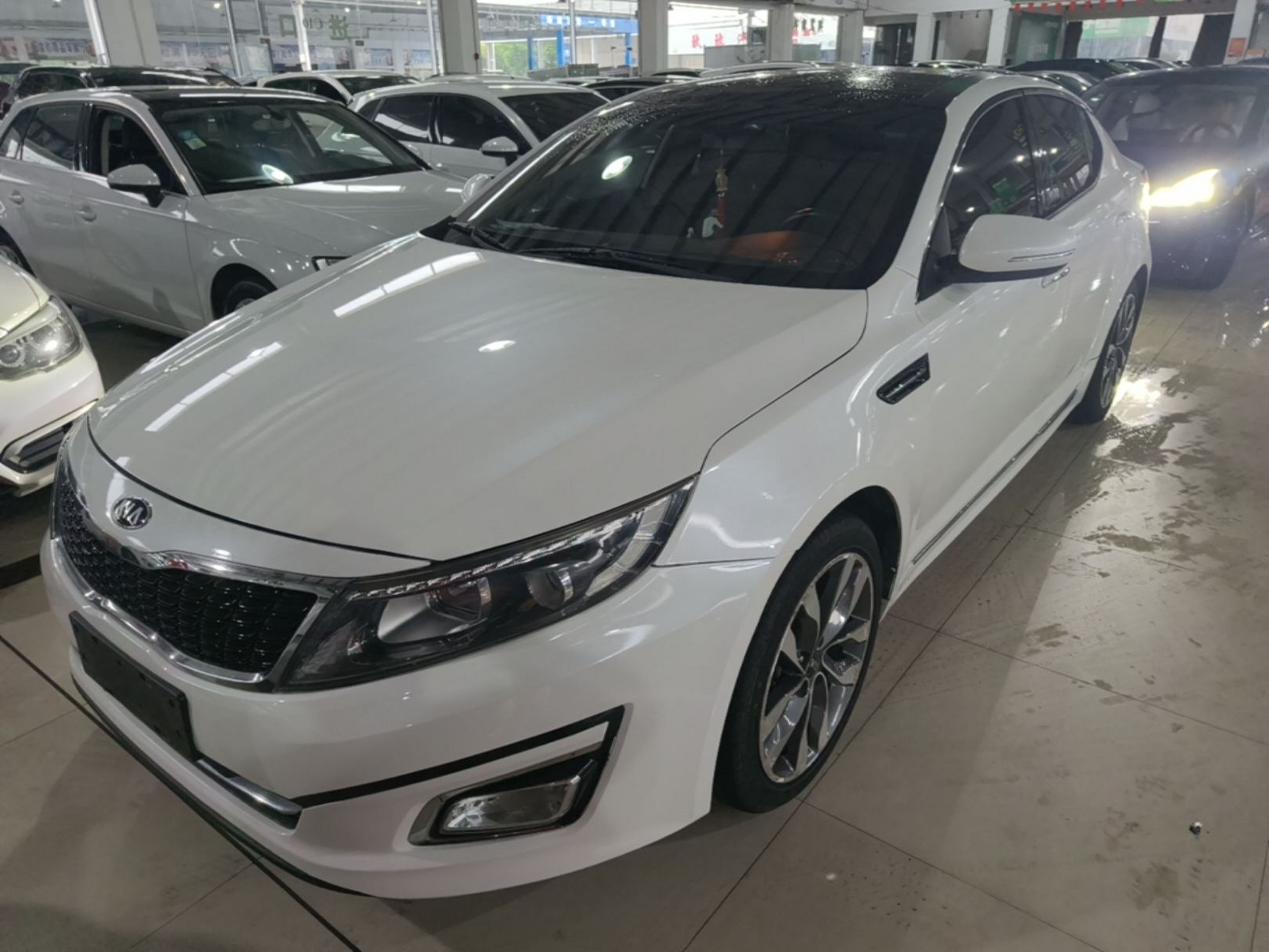 Parte inferior delantera
