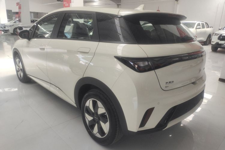 Used BYD Dolphin 2025 420km Free Edition