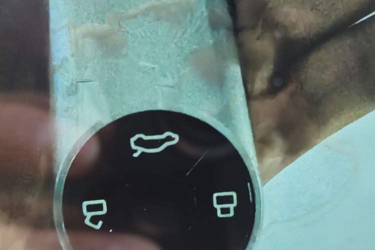 Used ORA Lightning Cat 2022 555 km Luxury Edition
