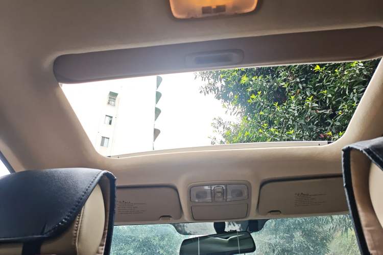 Used Hyundai Celesta 2010 1.6L AT GLS
