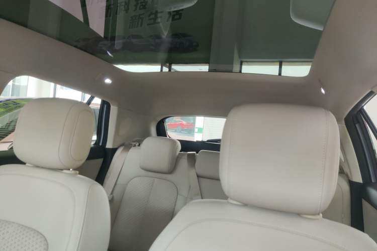 Used firefly 2025 Illuminated Edition
