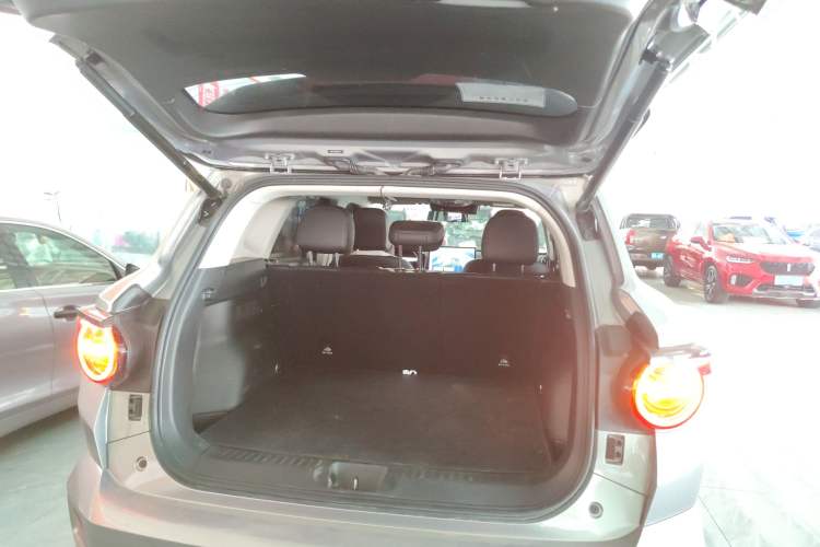 Used Haval H Dog 2023 2.0T Two-Wheel Drive Chaoye Version Plus