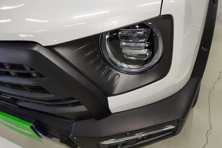 Used Haval DARGO 2024 2.0T DCT Chinese Rural Dog Edition
