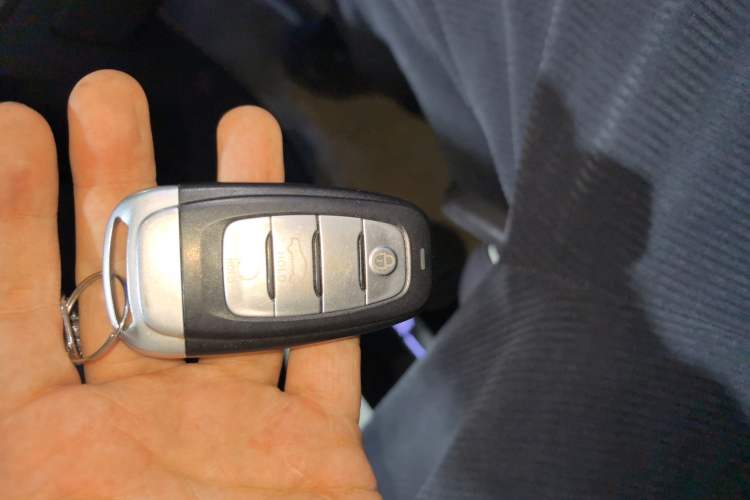 Used Hongqi E-HS9 2021 460 km Range Flagship Edition Six-Seater
