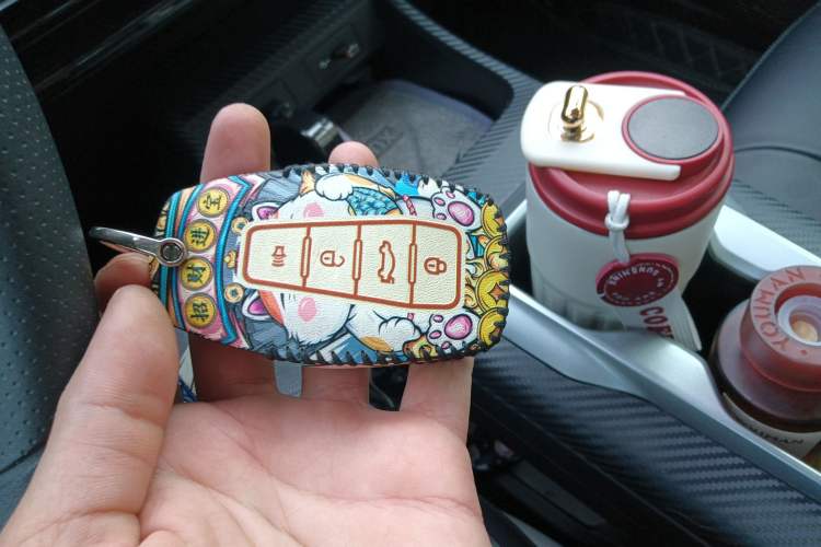 Used Geometry E Firefly 2024 301km Starlight
