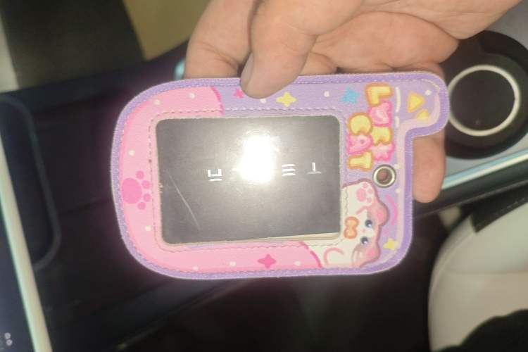 Used Tesla Model Y 2023 Long-Range All-Wheel-Drive Version Interior 1