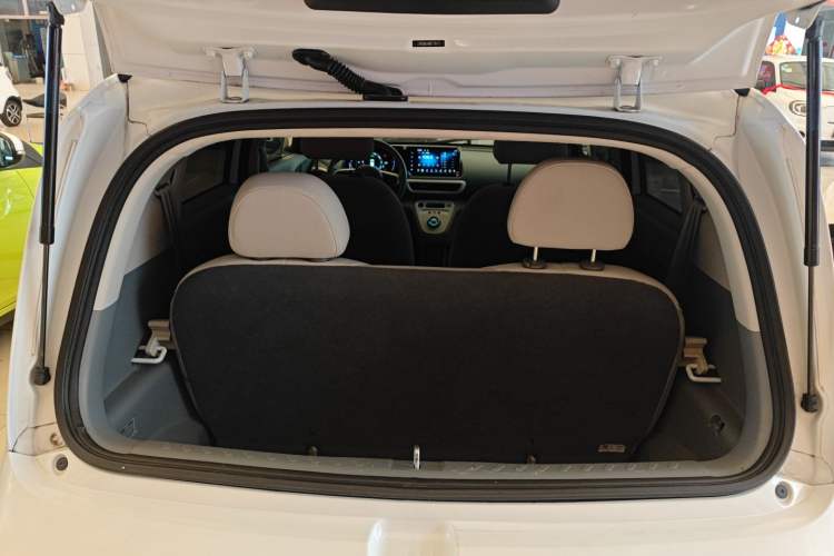 Used ORA White Cat 2020 305 km Luxury Version Trunk