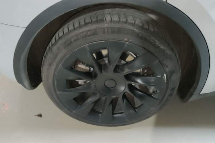 Used Tesla Model Y 2022 Revised Version Rear-Wheel Drive Exterior 5