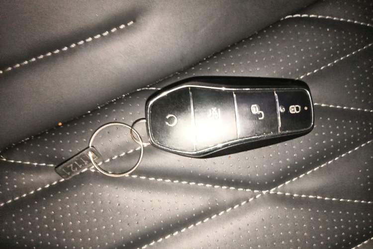 Used BYD Seal 2022 550 km Standard Range Rear-Wheel Drive Elite Version
