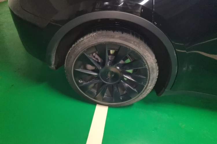 Used Tesla Model Y 2021 Standard Range Rear-Wheel Drive Version