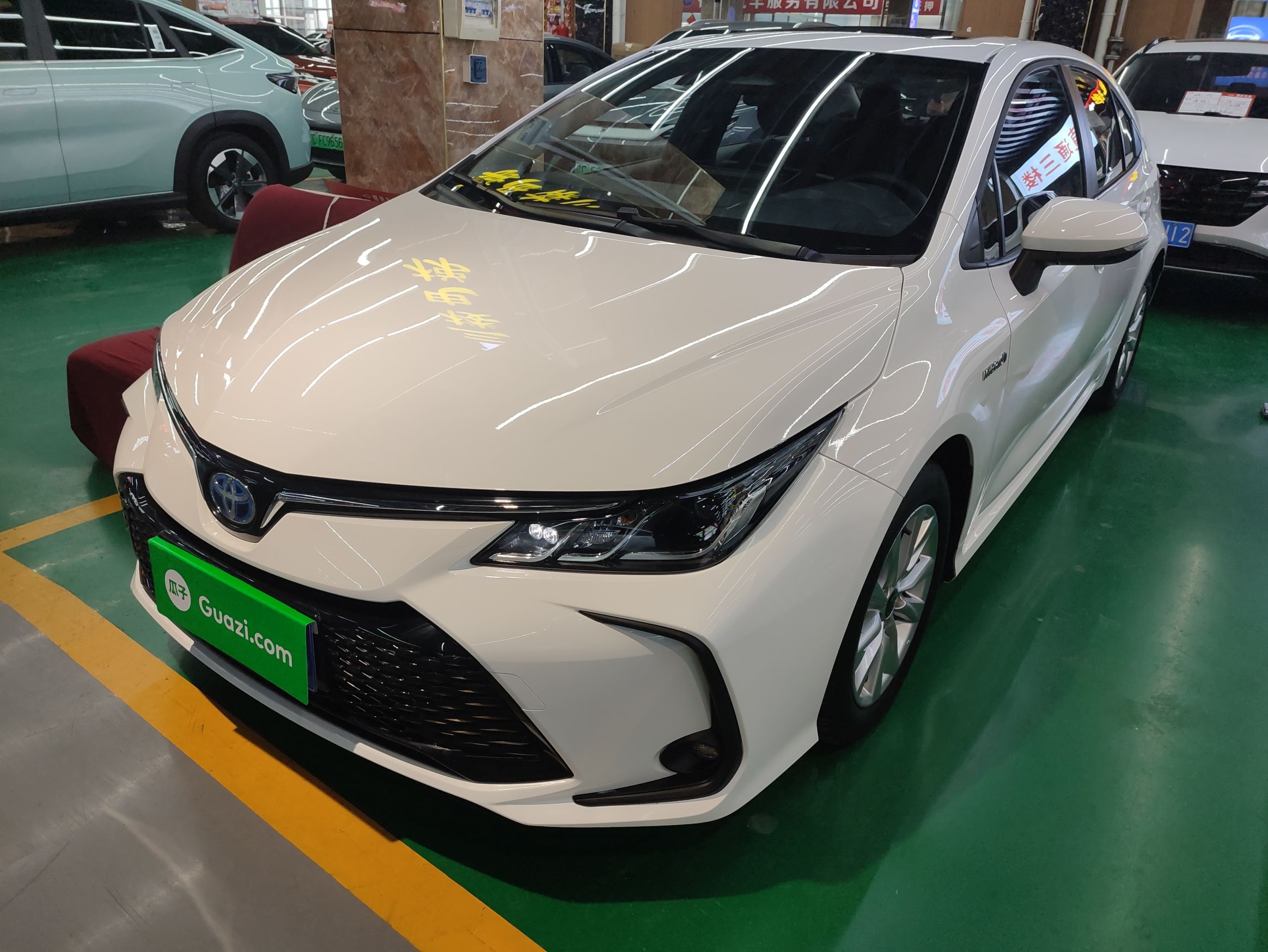 تحت مقدمة السيارة