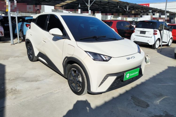 Used BYD Seagull 2024 Honor Edition 305km Freedom Version
