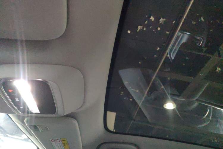 Used XPeng G6 2024 580 Long-Range Plus Headliner