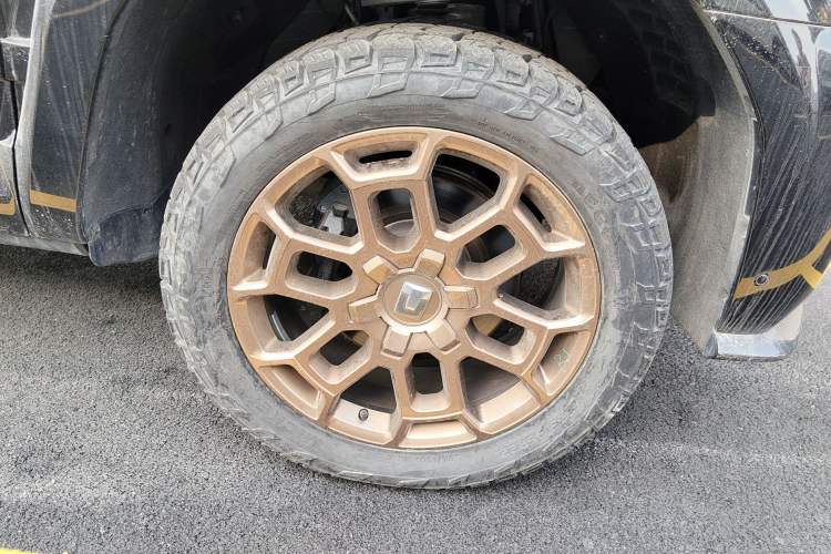 Used Tank 700 New Energy 2024 Hi4-T First-Edition Limited Model
