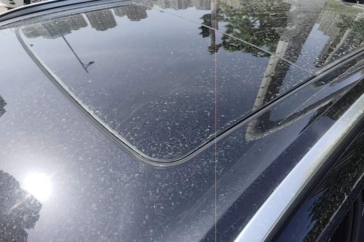 Used BMW X5 2023 xDrive 40Li M Sport Package