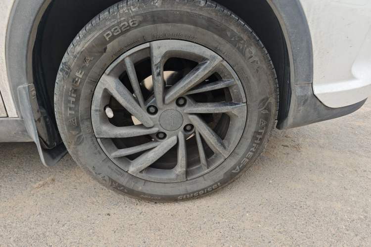 Used NETA V 2021 Long-Range Industry Custom Edition