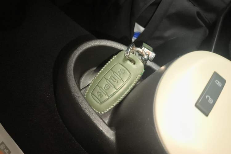 Used ORA Black Cat  Interior 1