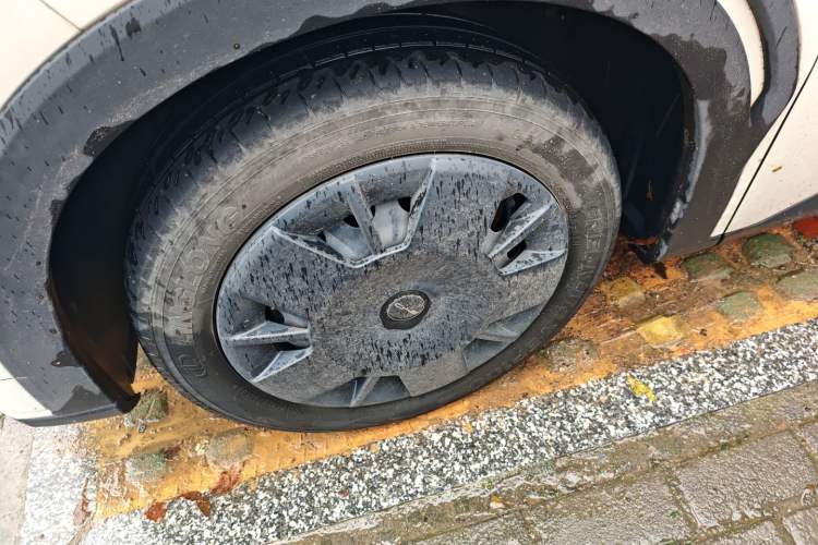 Used BYD Seagull 2023 Active Version
