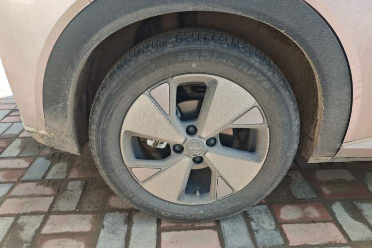 Used BYD Dolphin 2023 420 km Free Version
