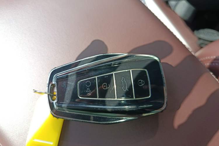 Used Geely Auto Monjaro L 2021 2.0TD DCT EVO Two-Wheel Drive Prestige Version
