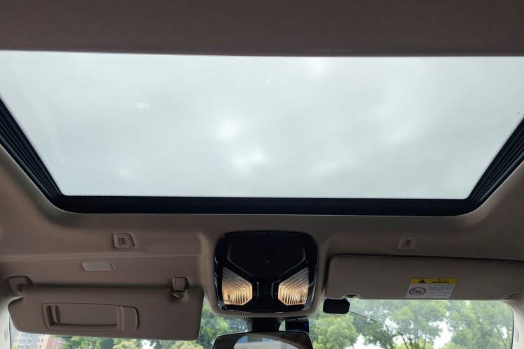 Used BMW 5 Series 2021 525Li Luxury Package Headliner