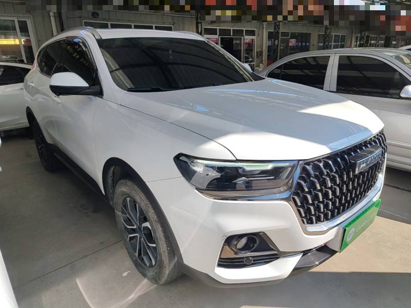 Used Haval H6 2023 National Trend Edition 1.5T Automatic Urban Version — 3