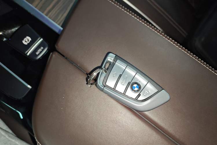 Used BMW 5 Series New Energy 2020 Mileage Upgrade Version 530Le Luxury Package