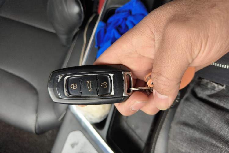 Used Geometry EX3 Kung Fu Cow 2021 Tough Bull Cow
