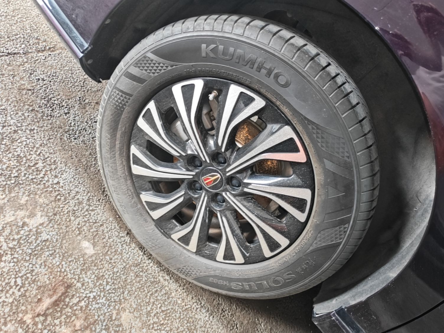 Hongqi HQ9 PHEV 2024 2.0T Four-Wheel Drive Business Edition — снимка 11