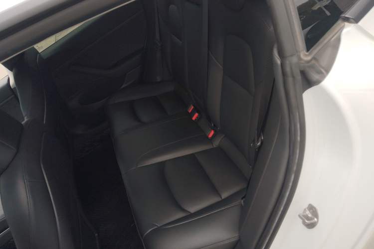 Used Tesla Model 3 2020 Revised Version Standard Range Rear-Wheel Drive – Upgraded Edition
