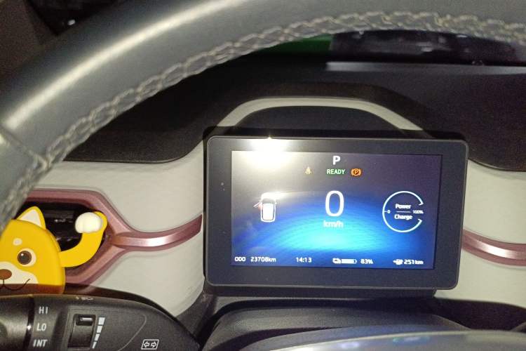 Used SOL E10X 2022 Flower Fairy Style Baby's Breath Instrument Cluster