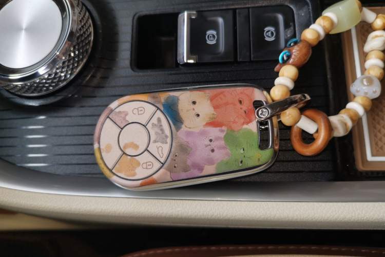 Used ORA Good Cat 2022 400km Standard Range Luxury Version Lithium Iron Phosphate